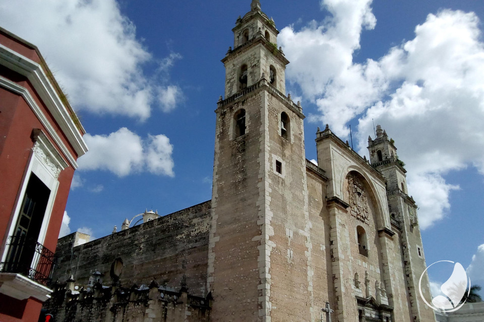 Mayantours San Ildefonso Cathedral Merida