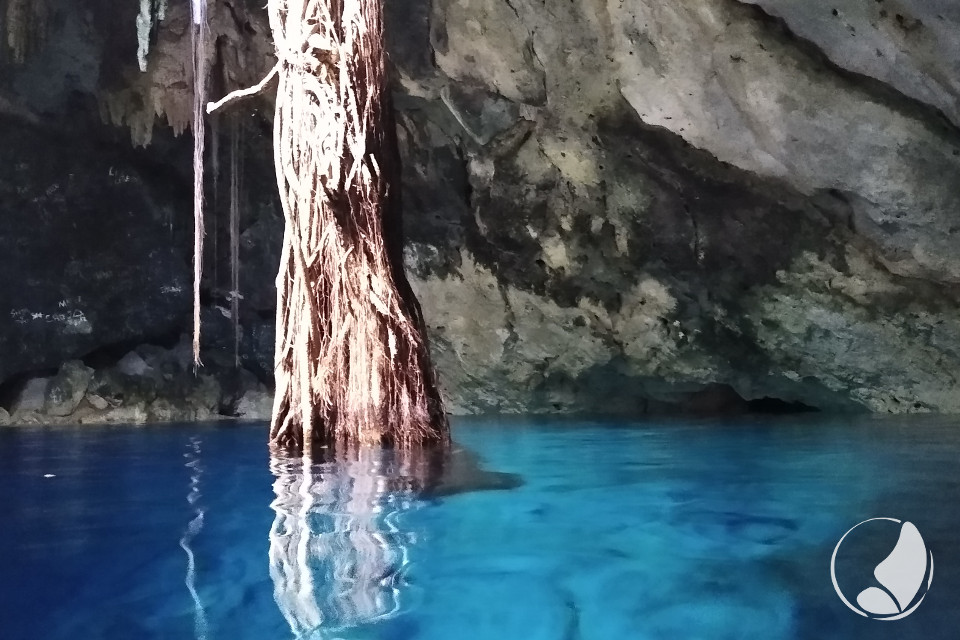 Chak-Zinik-Che Cenote in Cuzama