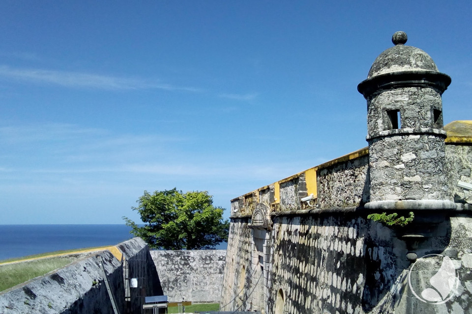 The Best of Yucatan + Edzna, Calakmul and Campeche
