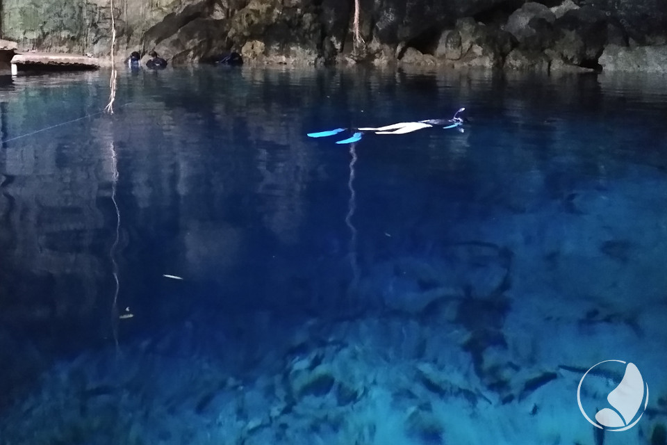 Free diving, Abala Cenotes